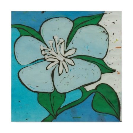 Andrea Davis 'Turquoise Batik Botanical Vi' Canvas Art,18x18